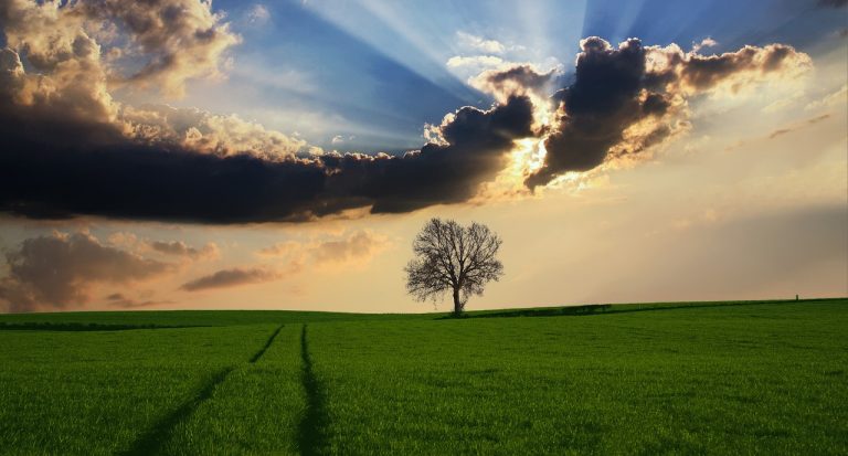 Descubre Turismo ecológico para el mundo
