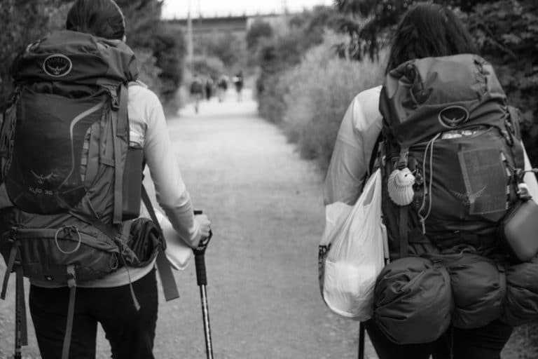 el camino de santiago