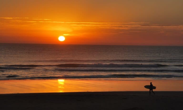 El Palmar