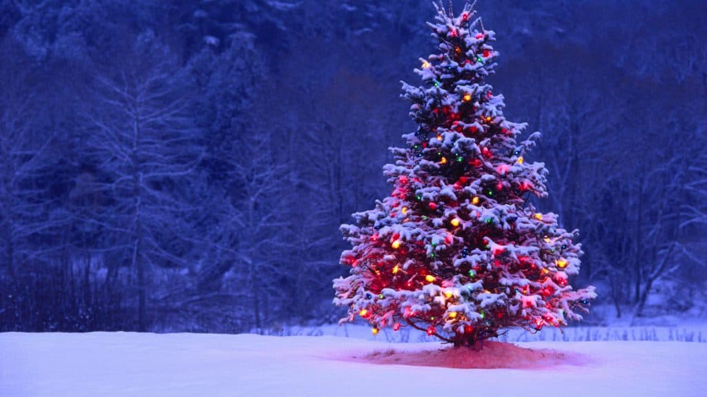 destinos para disfrutar la navidad