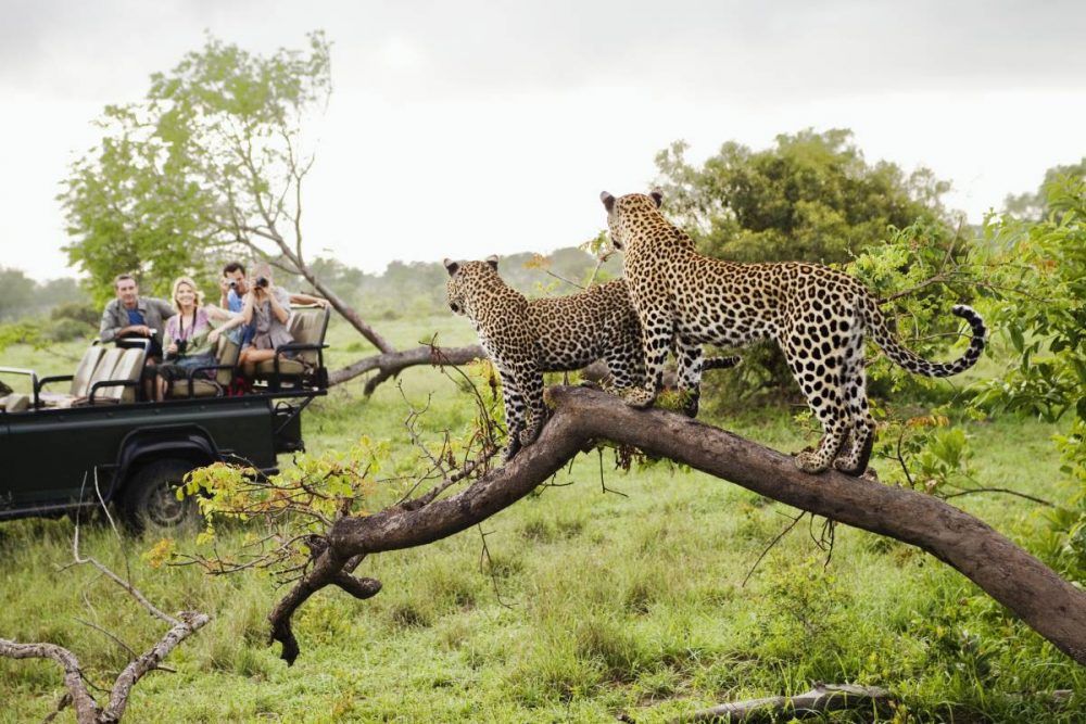 destinos para amantes de los animales