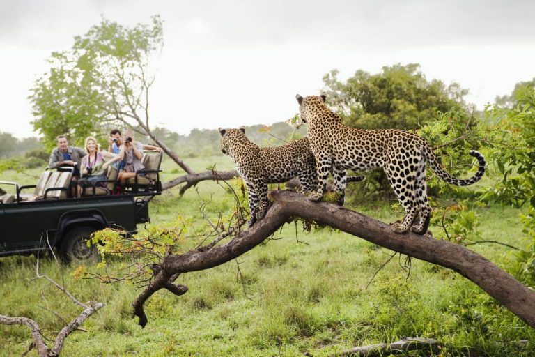 destinos para amantes de los animales
