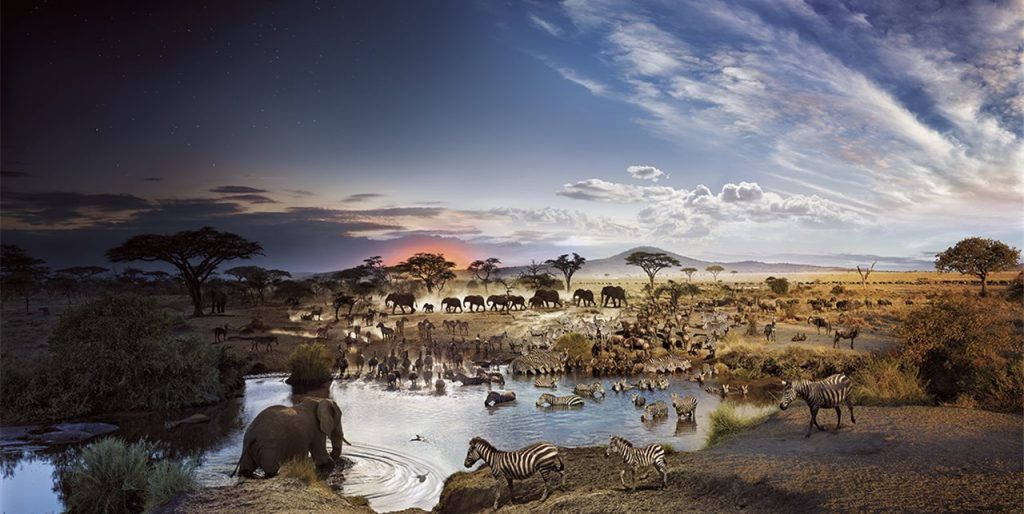 parque nacional serengeti