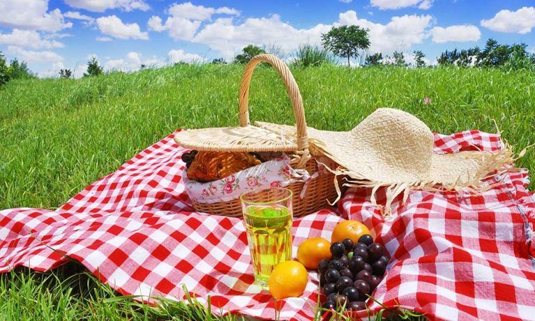 Mejores sitios de picnic en Madrid