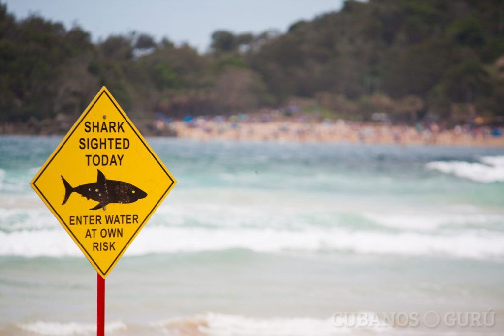 playa-aviso-tiburones