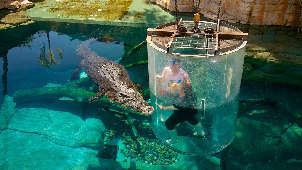 Crocosaurus Cove, Australia