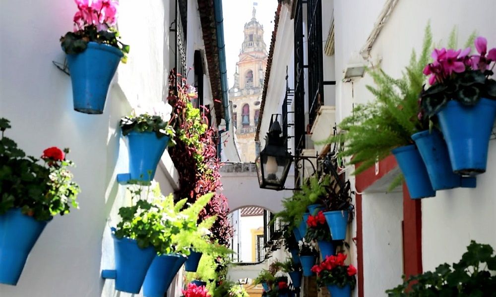 Calleja de las Flores