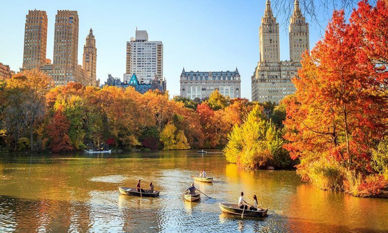 cosas que hacer en Nueva York