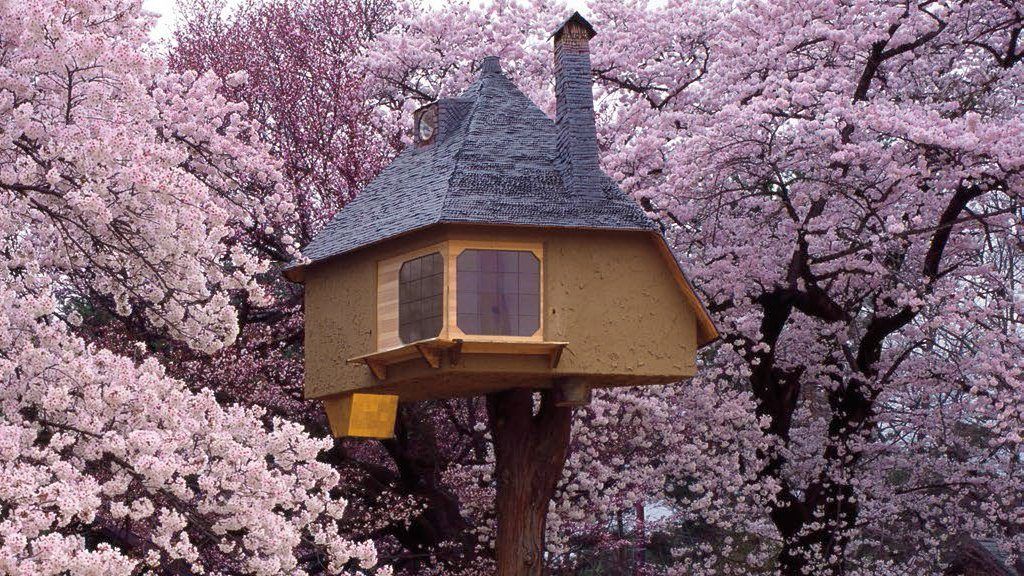 cabaña en árboles en japón