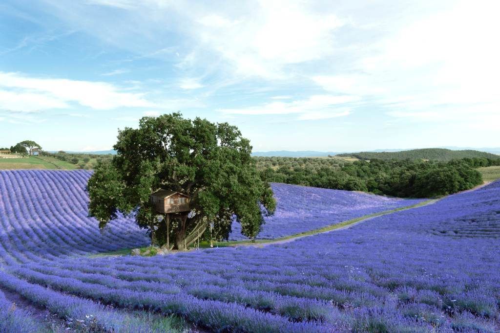 cabañas en medio de la naturaleza