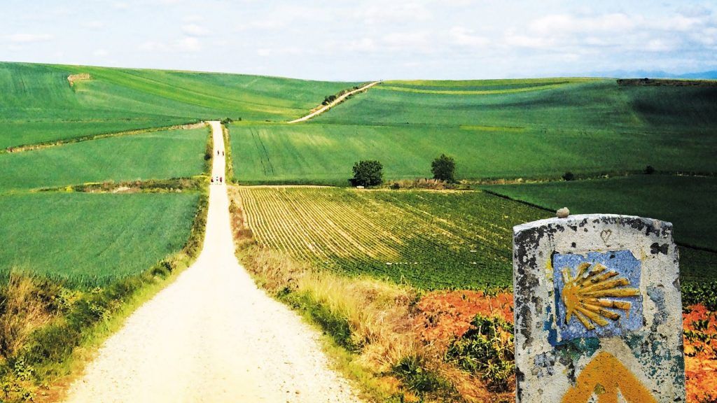 camino de santiego