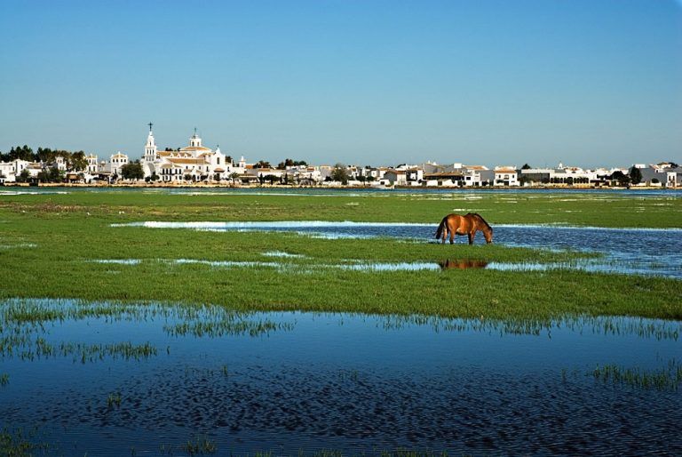 parque natural de doñana