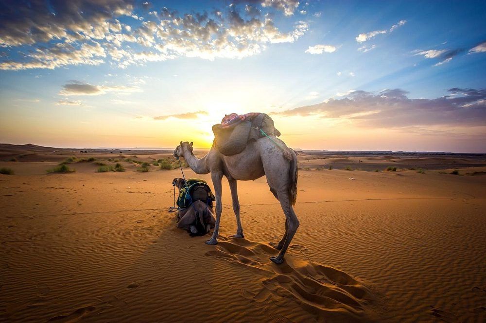 viajar a marruecos