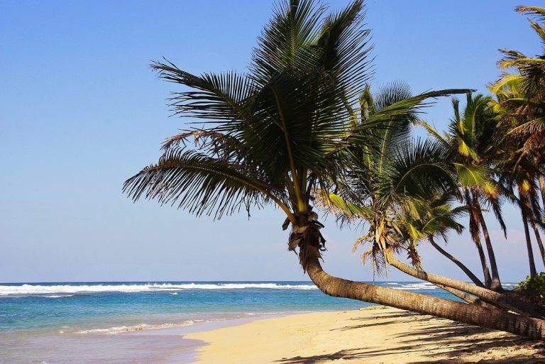 Viaje a Punta Cana