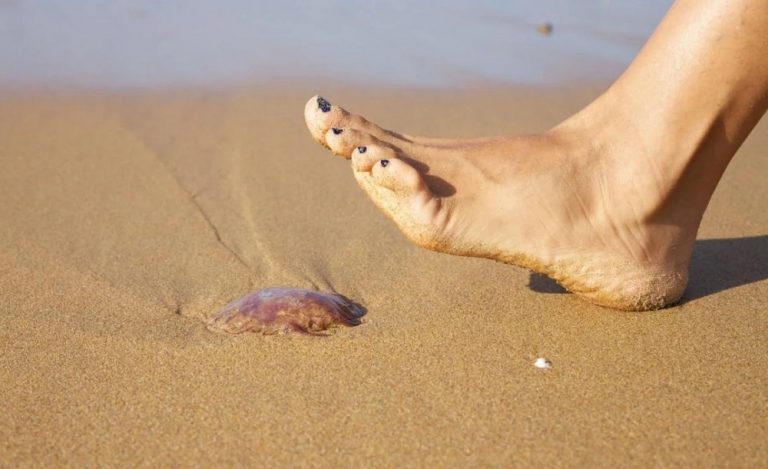 evitar las picaduras de las medusas