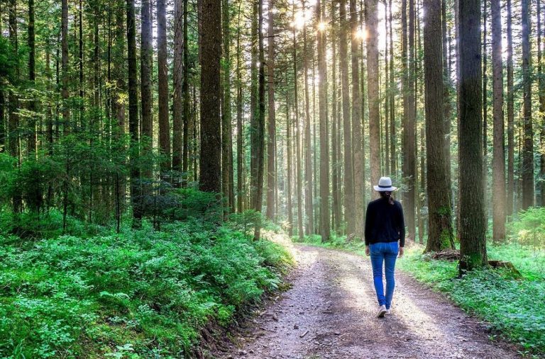 contacto con la naturaleza