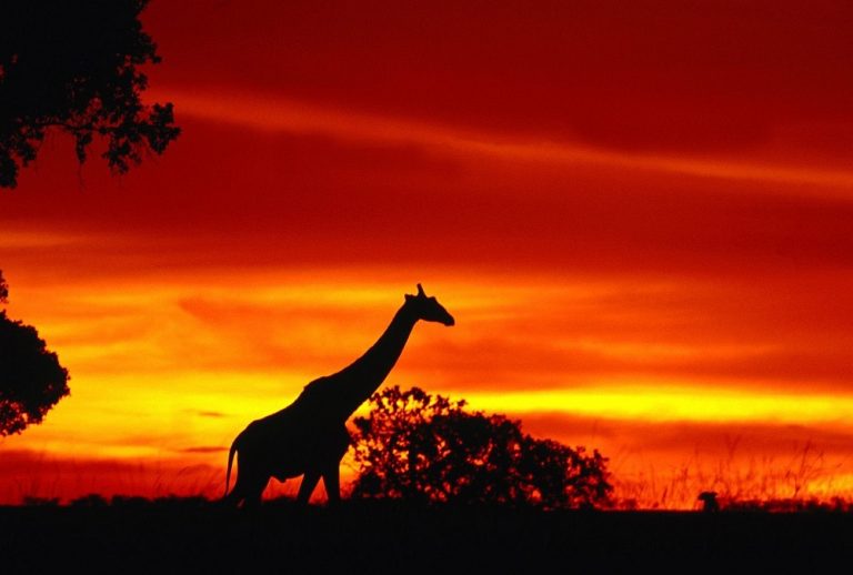 mejores atardeceres del mundo