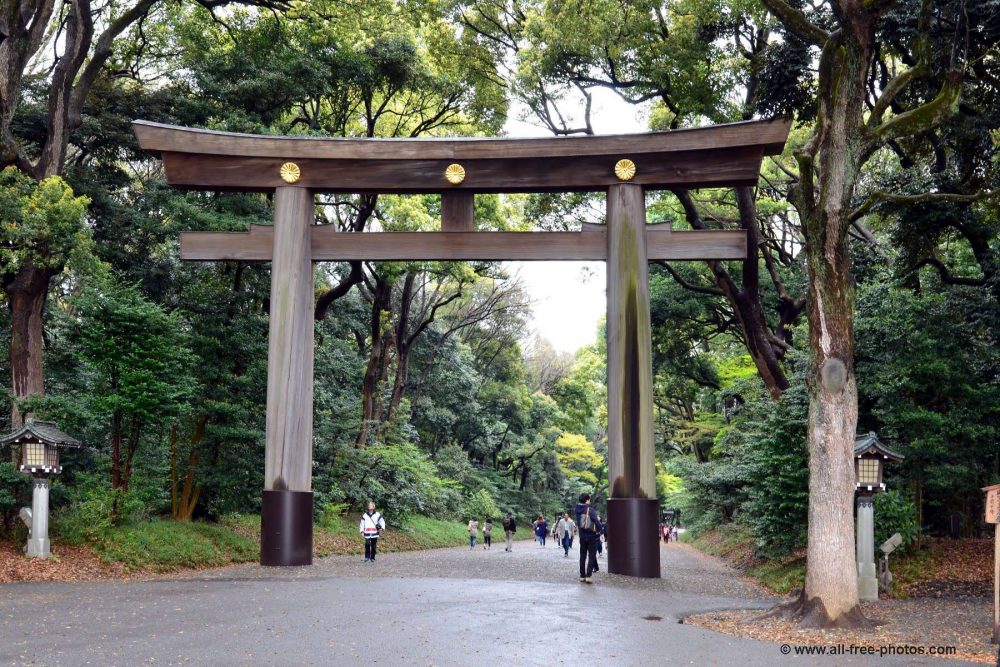 libros que tienes que leer antes de viajar a Japón
