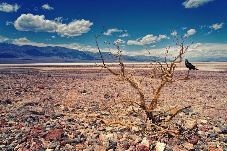 El valle de la muerte, el lugar más caluroso del mundo
