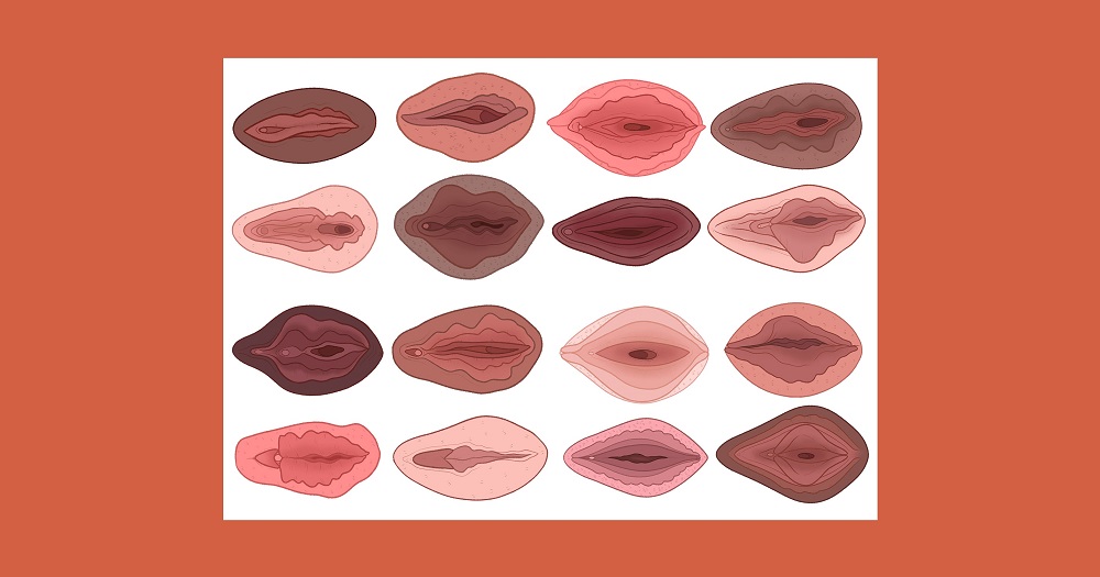 Londres tiene un museo dedicado a la vagina