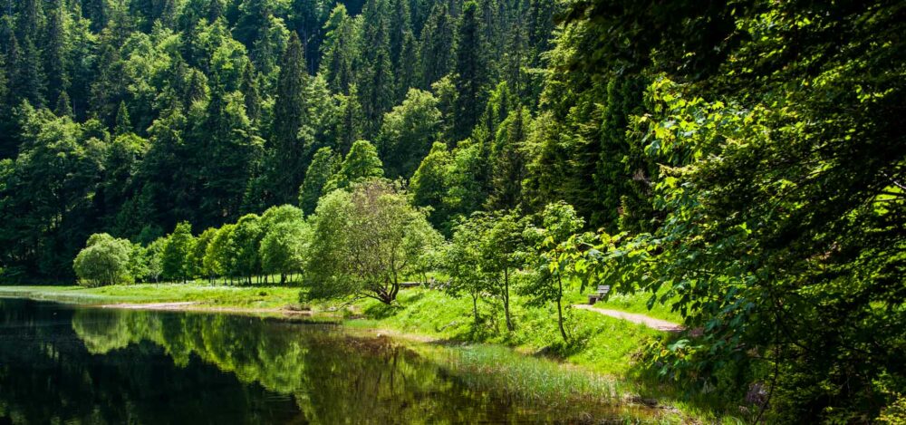 Pueblos con encanto de la Selva Negra en Alemania