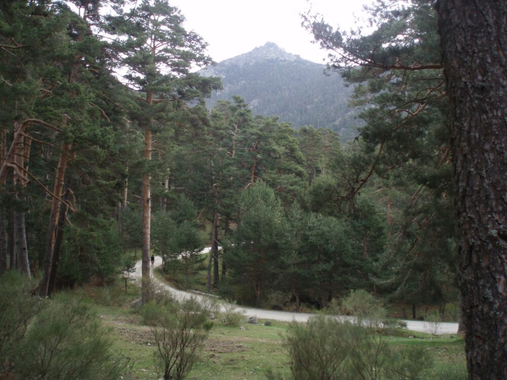 Ruta de Trekking Sierra de Guadarrama - Valle de la Fuenfría