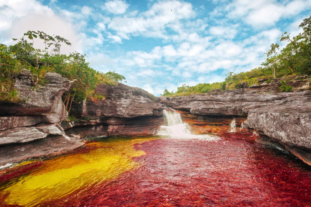 Parque Natural de la Sierra de la Macarena