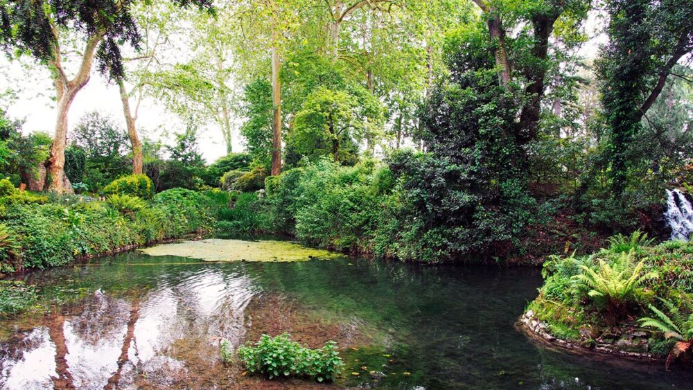 Jardín Botánico
