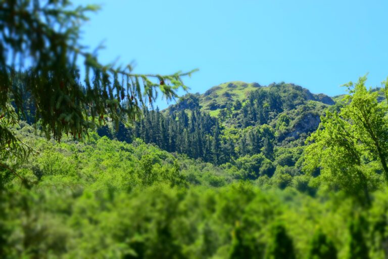 escapadas a la montaña en España durante la "nueva normalidad"