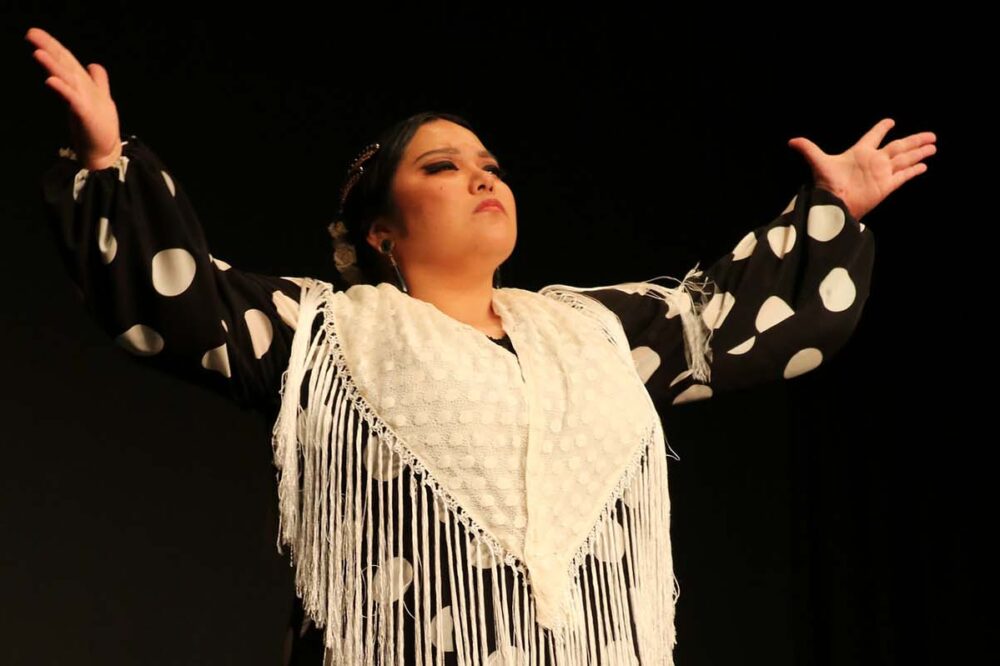 flamenco en Japón