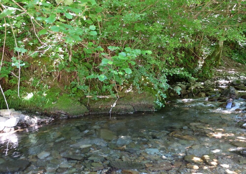 mejores zonas de río para bañarse de cada comunidad
