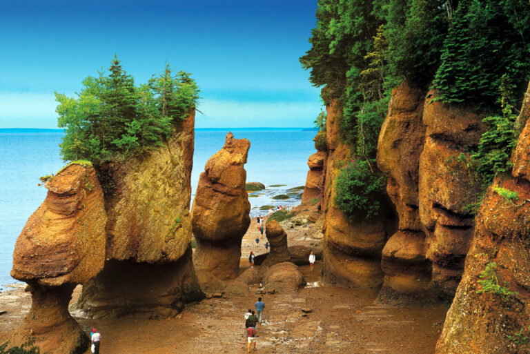 Acantilados de Fundy