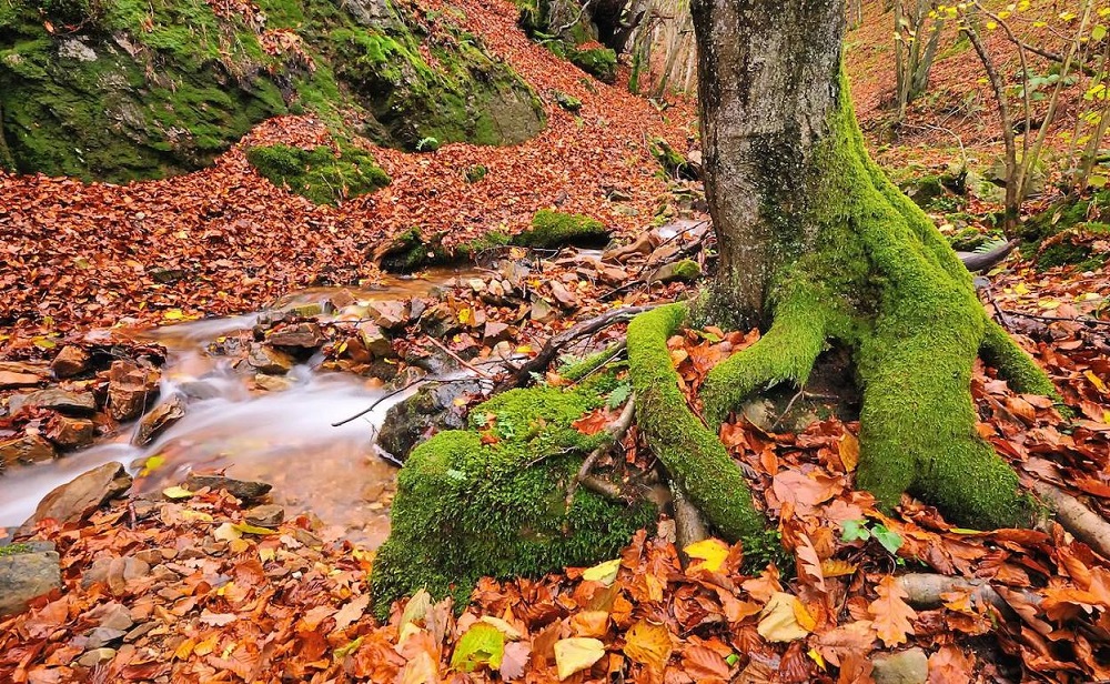 planes de otoño para desconectar: Visitar Asturias