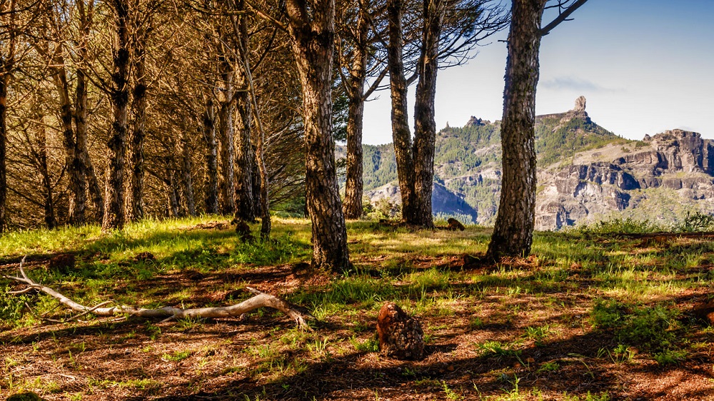 Canarias, un sitio bonito en otoño