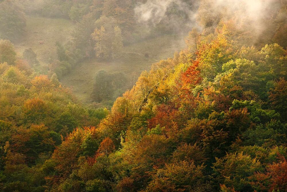 hayedos mágicos para visitar en otoño