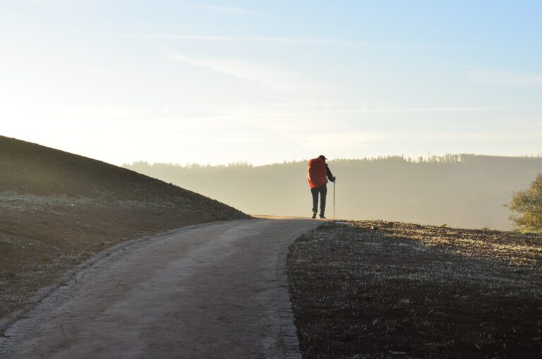 camino de santiago