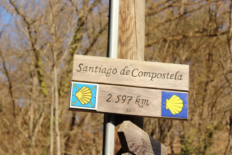 El Camino de Santiago y Córdoba aparecen en el New York Times