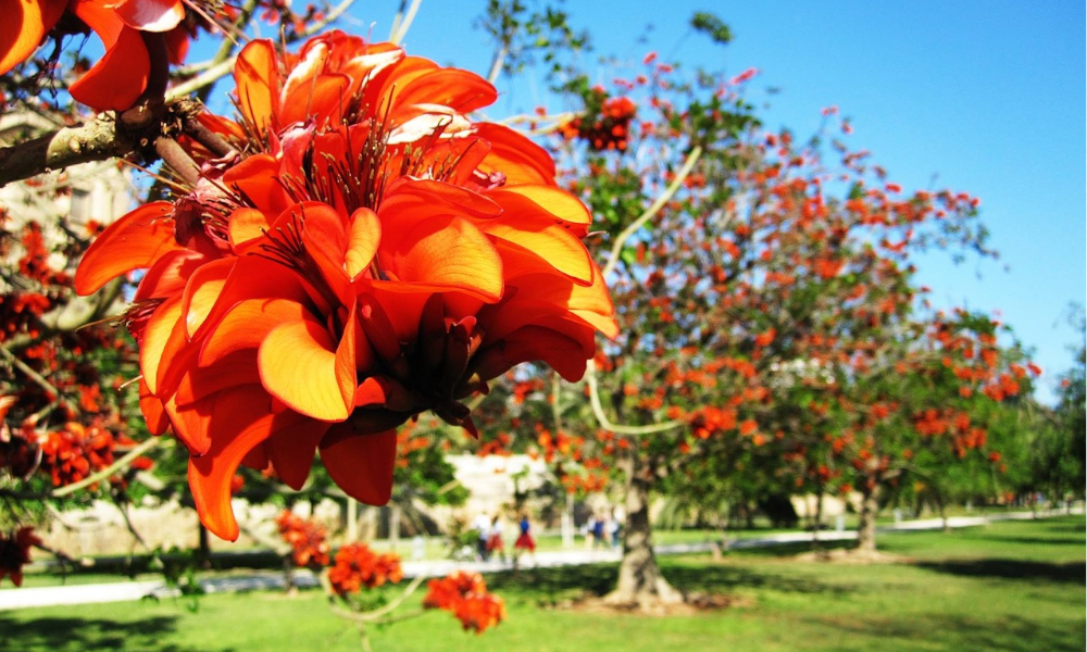 Jardines Turia