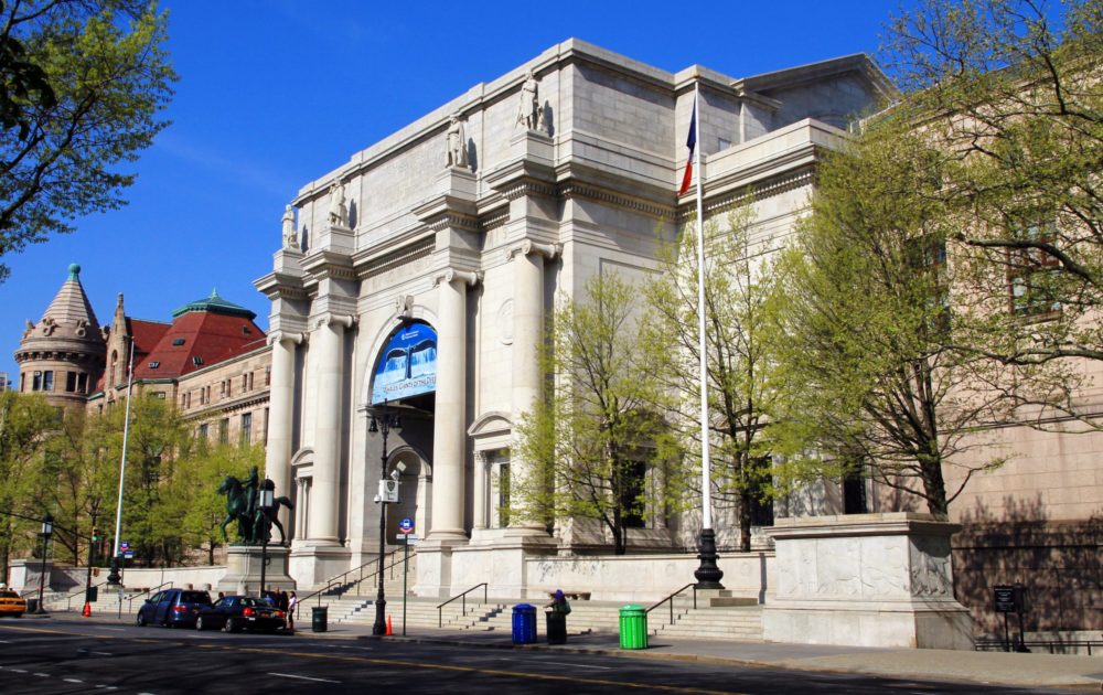 Museo de historia natural de nueva york