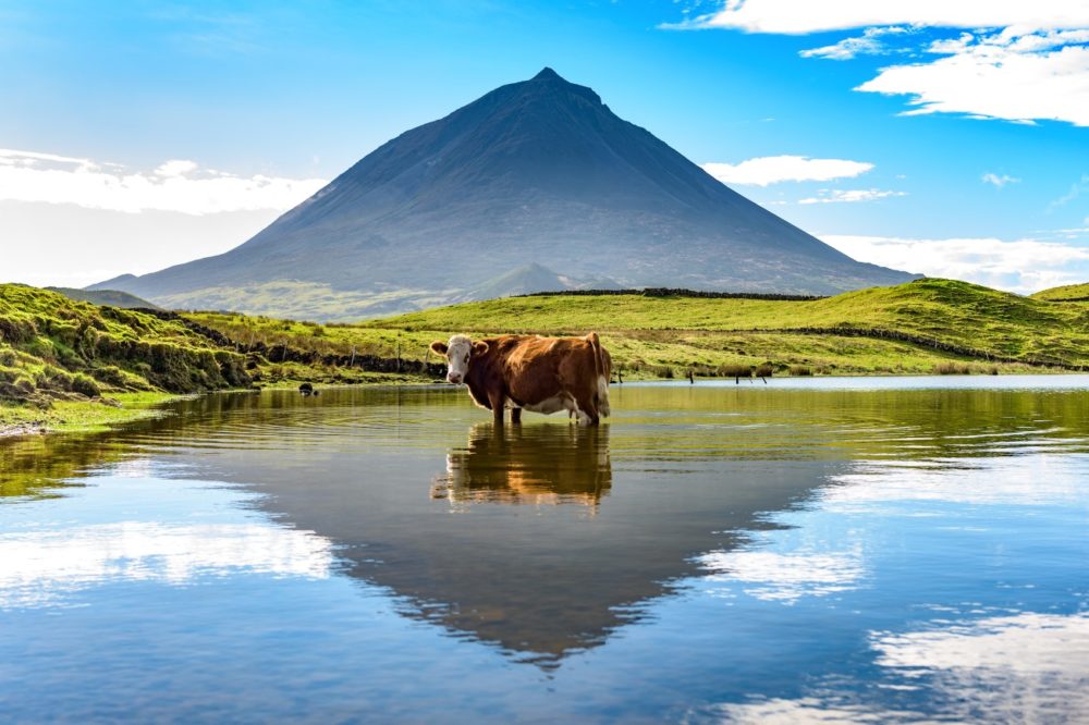 viaje a las azores
