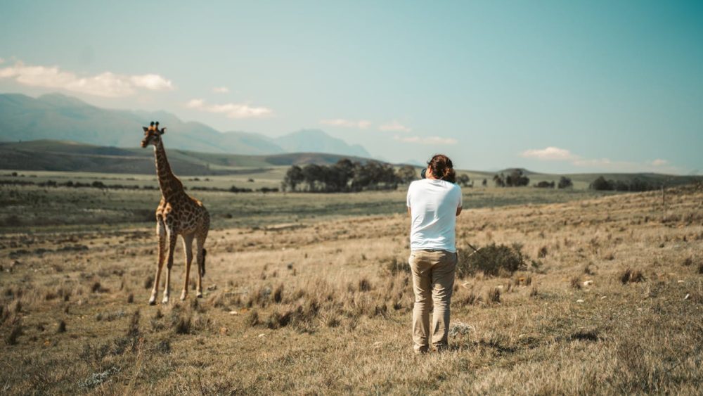 safari fotográfico
