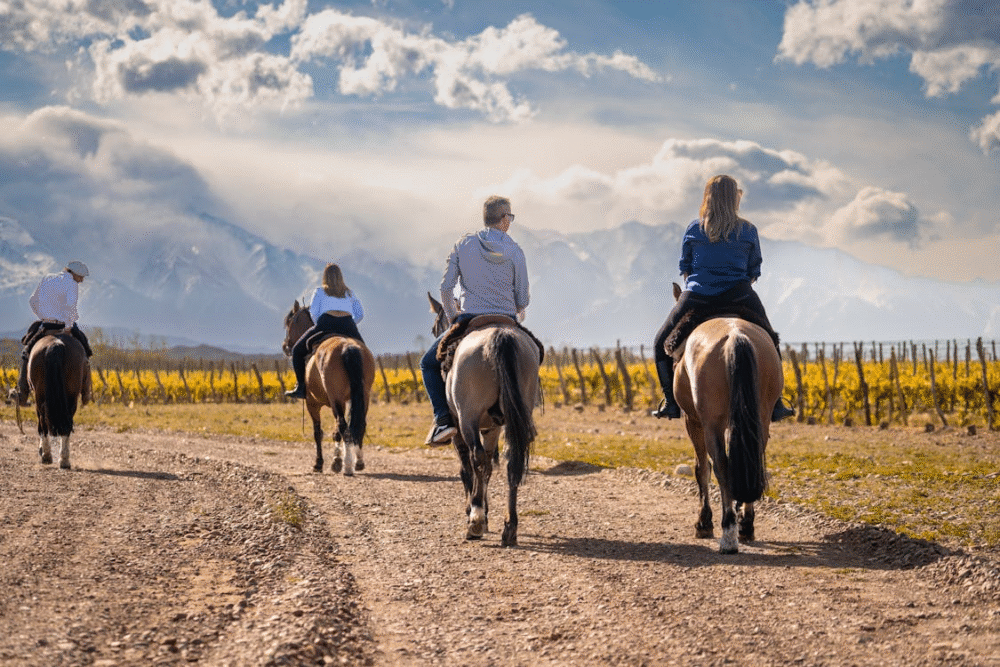 rutas del vino