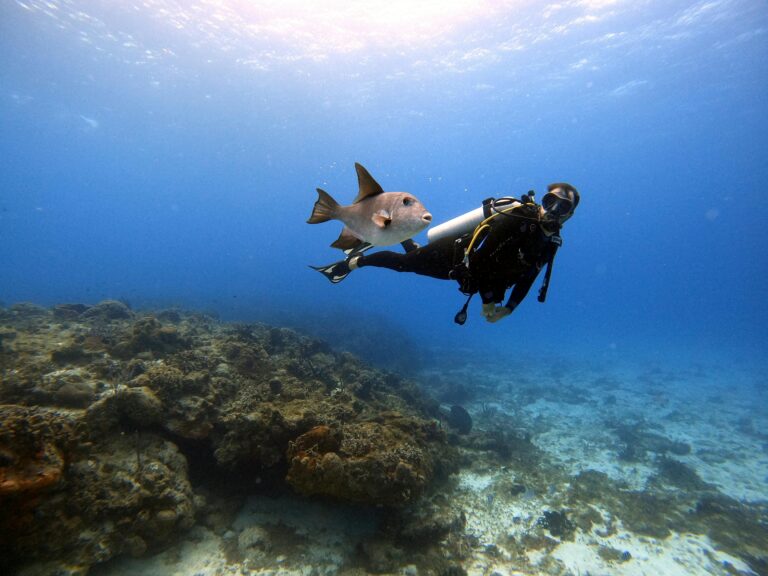 practicar buceo