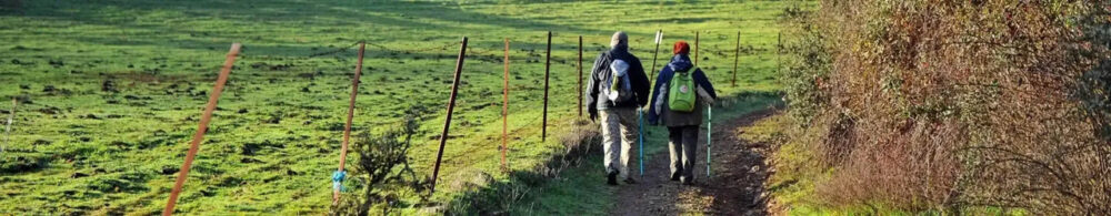 Camino de Santiago